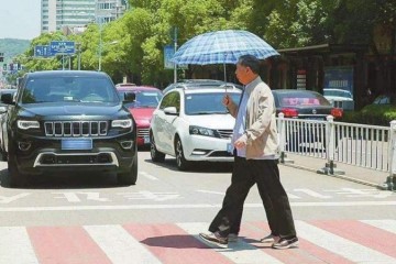 礼让行人分明是品德问题怎样就变成法制问题